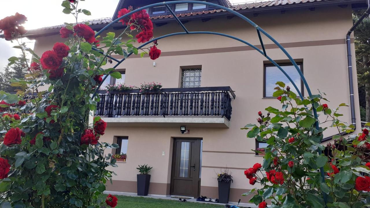 Apartment Panorama Zrece Luaran gambar
