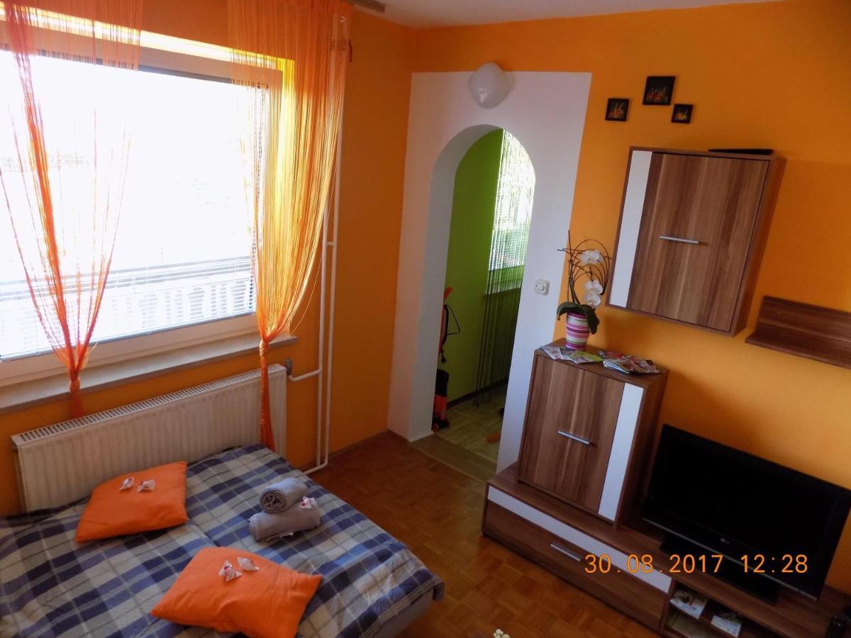 Apartment Panorama Zrece Luaran gambar