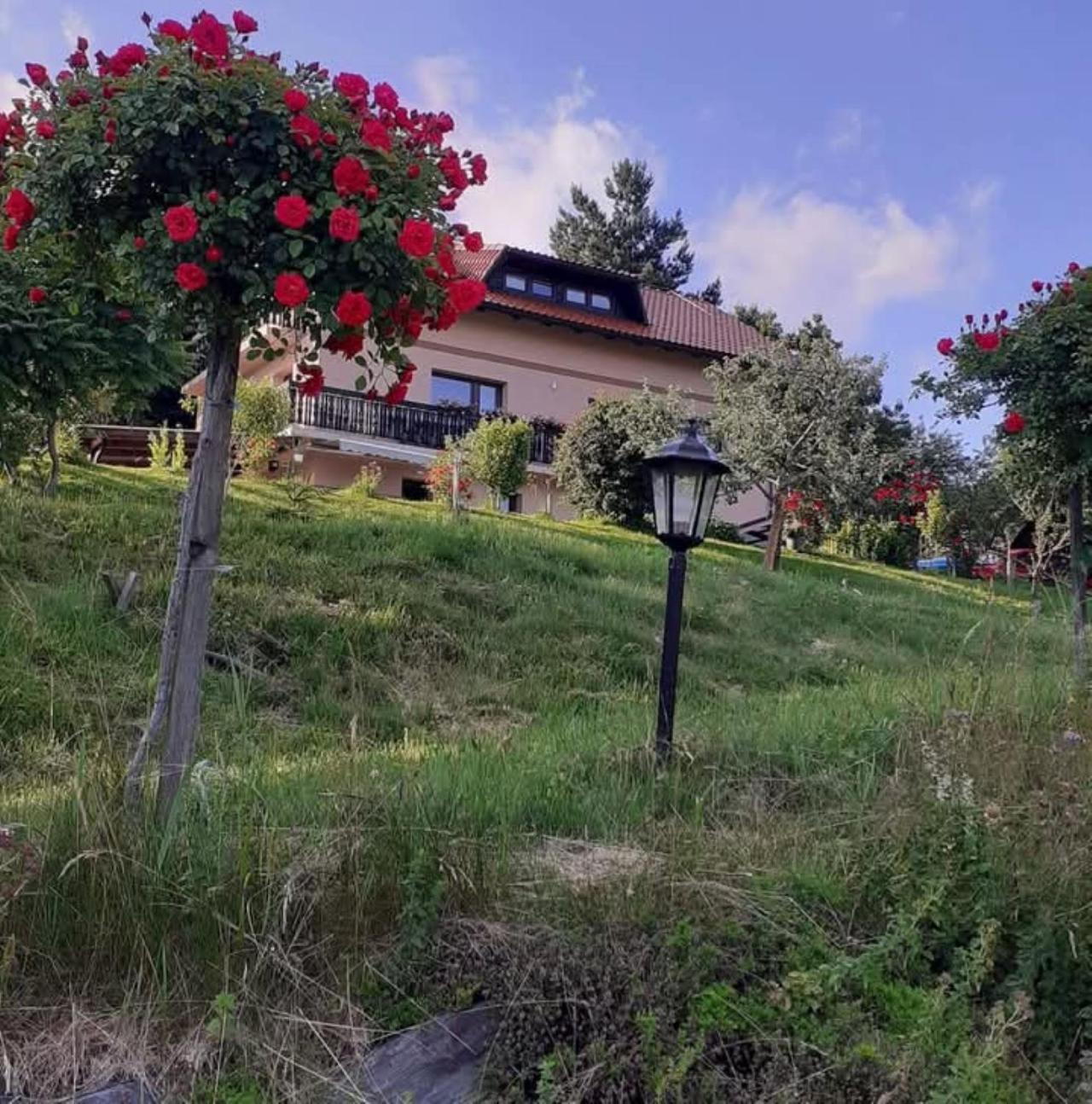 Apartment Panorama Zrece Luaran gambar