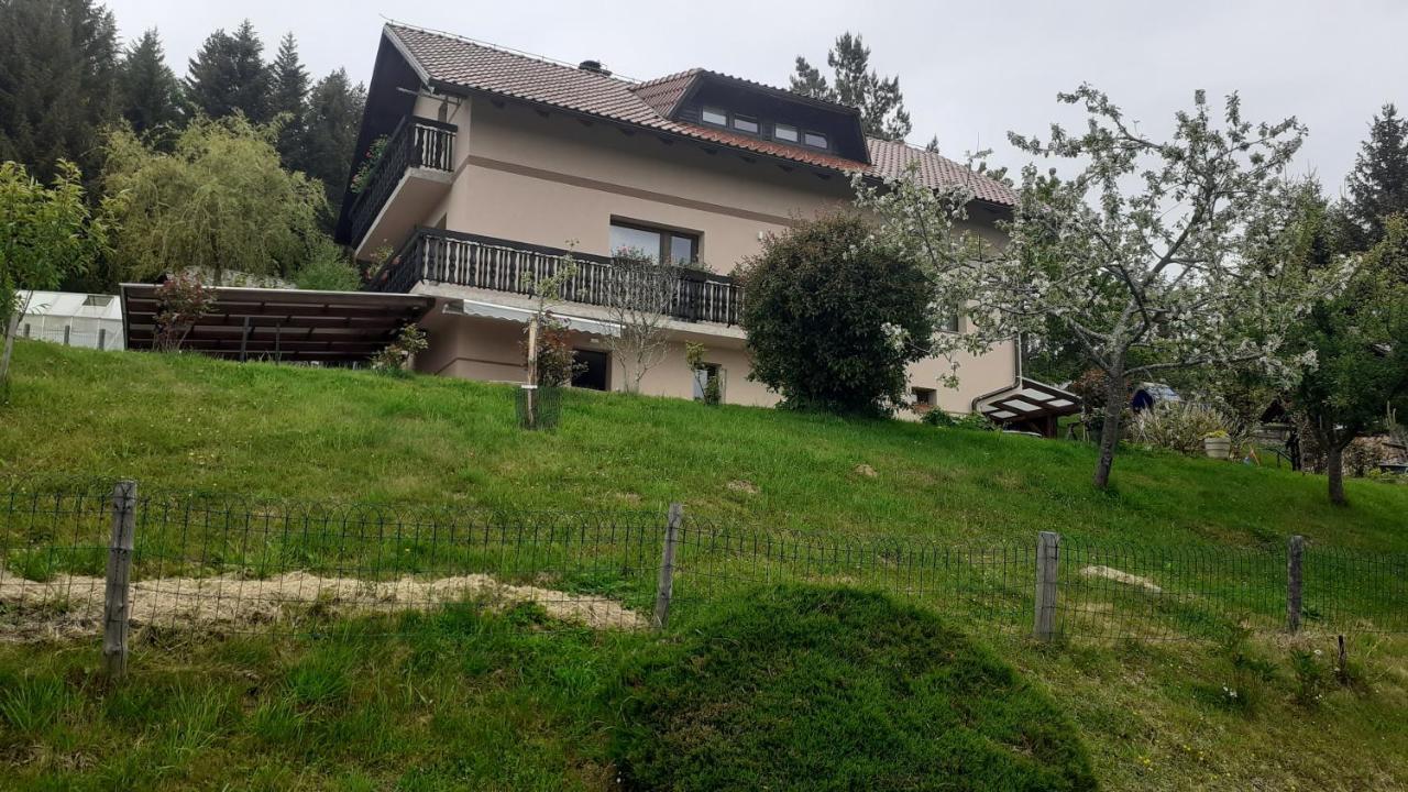 Apartment Panorama Zrece Luaran gambar